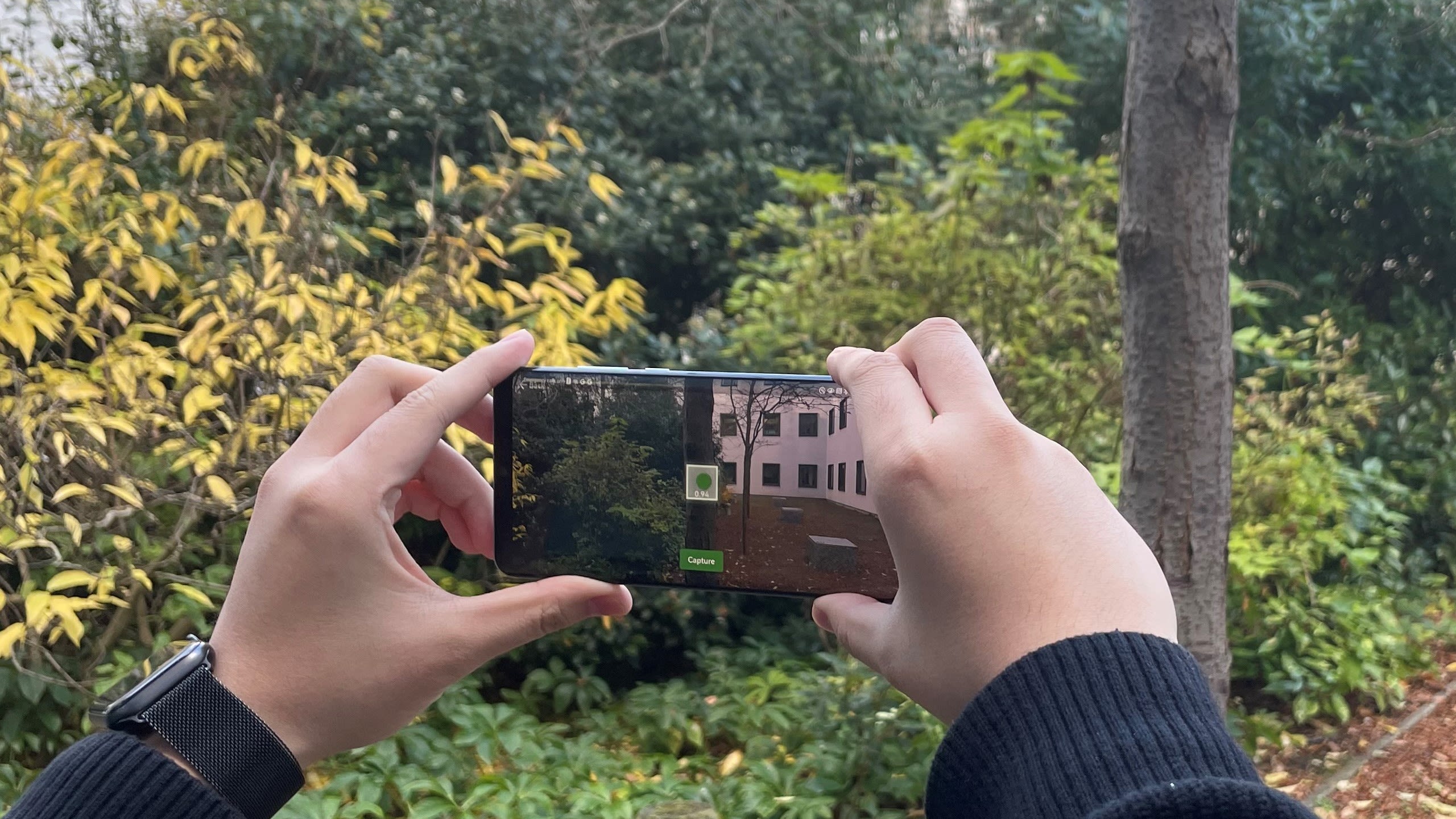 PhD student Frank Feng used AI to create a model that can measure the Diameter at Breast Height of a tree even when the image of it is blurry or low resolution.
